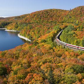 Agawa Train im Indian Summer