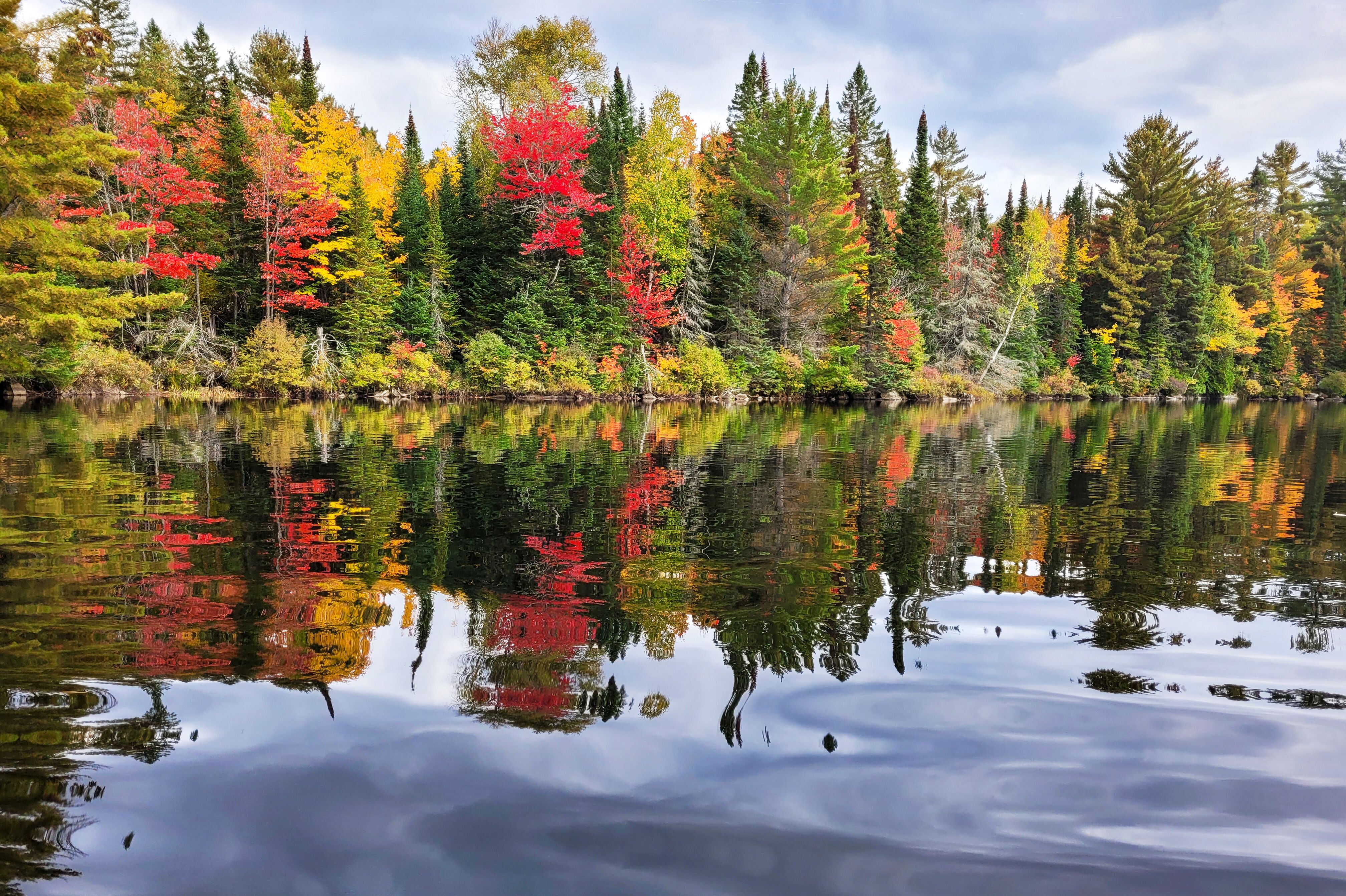 Indian-Summer im Algonquin Provincial Park