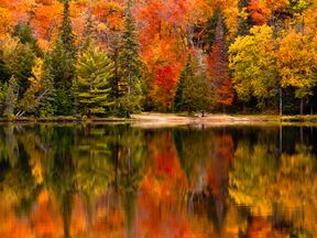 Herbst am Canisbay Lake im Algonquin Provincial Park in Ontario