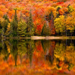 Herbst am Canisbay Lake im Algonquin Provincial Park in Ontario