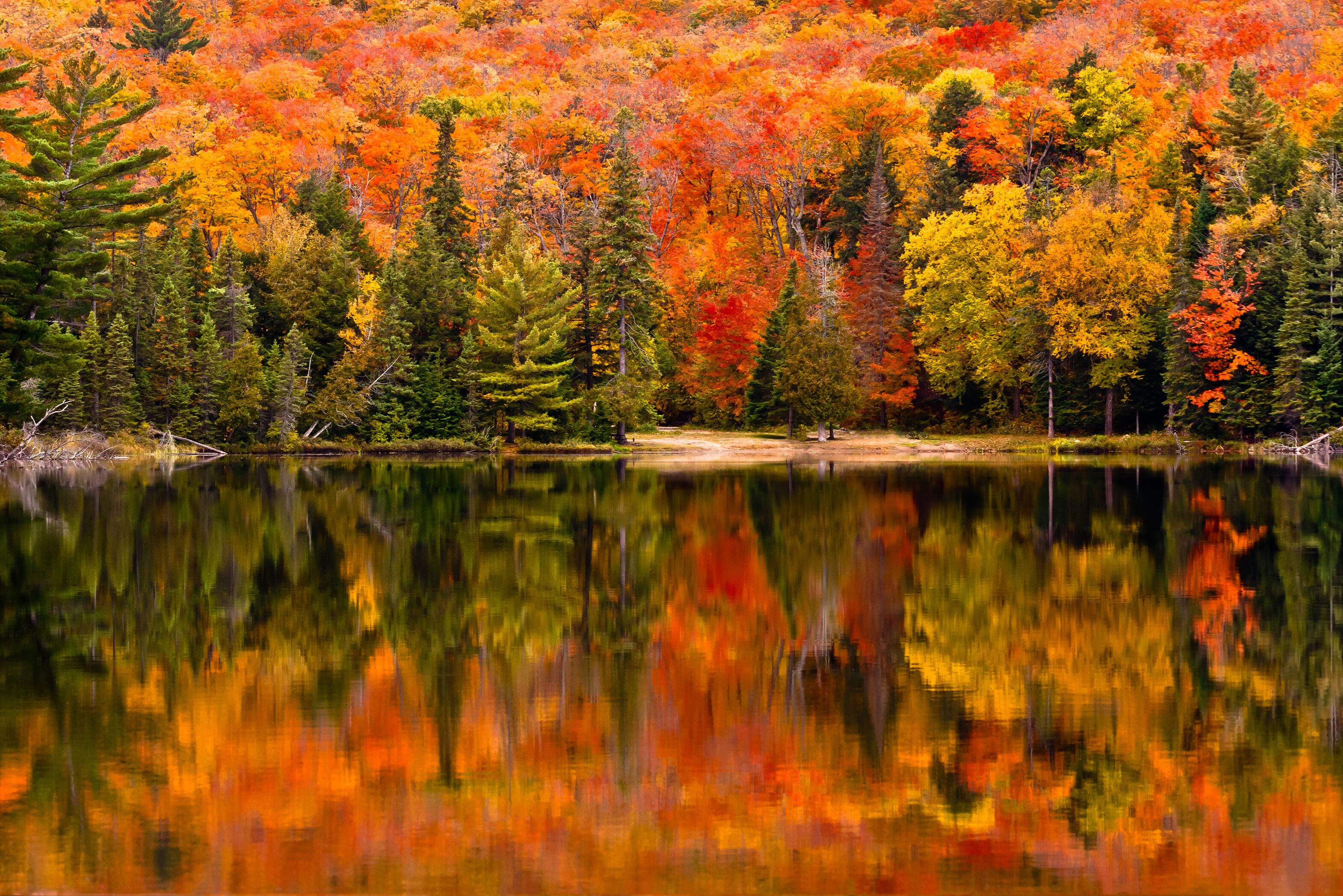 Herbst am Canisbay Lake im Algonquin Provincial Park in Ontario