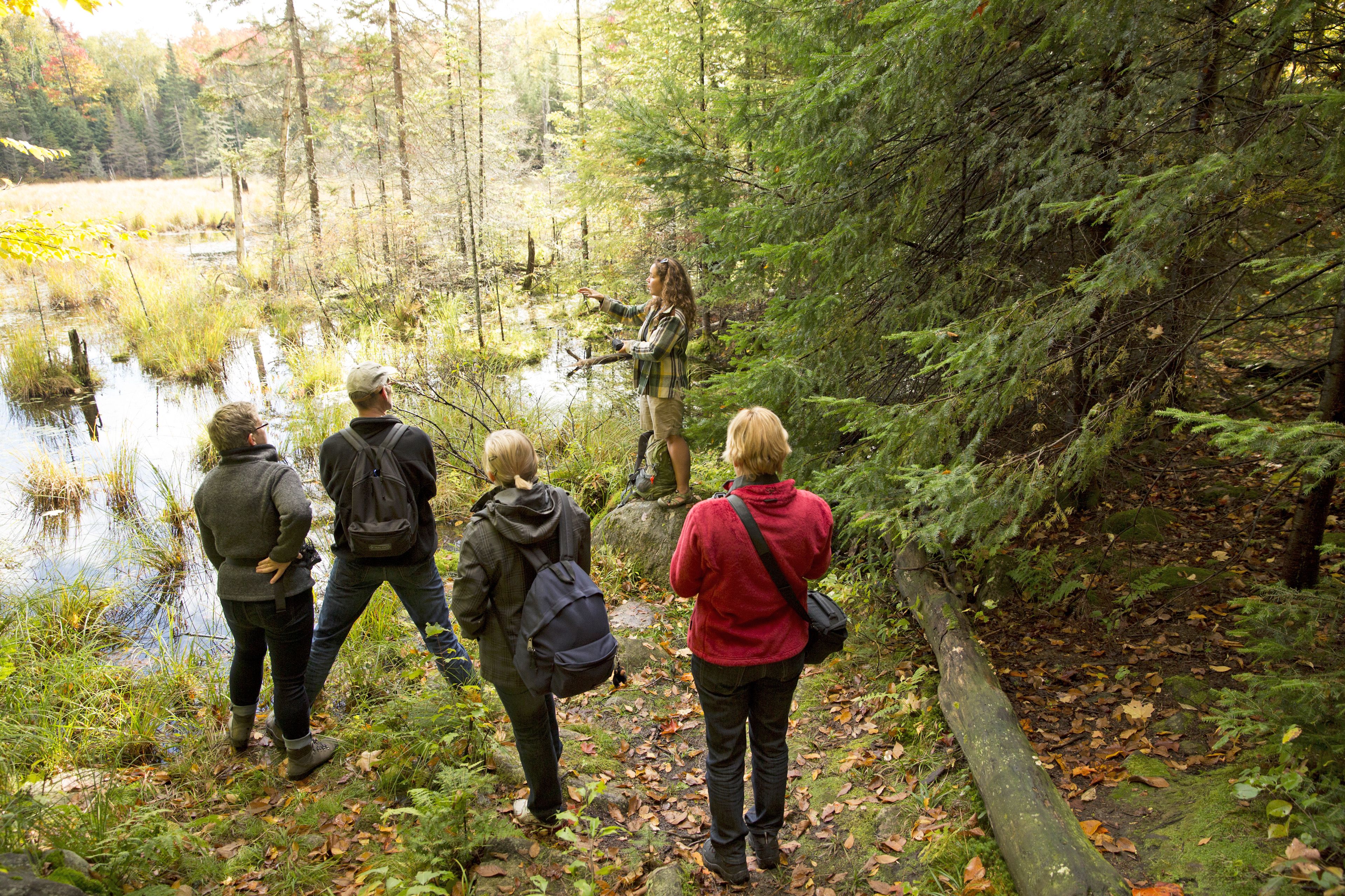 Indian Summer im Algonquin Provincial Park