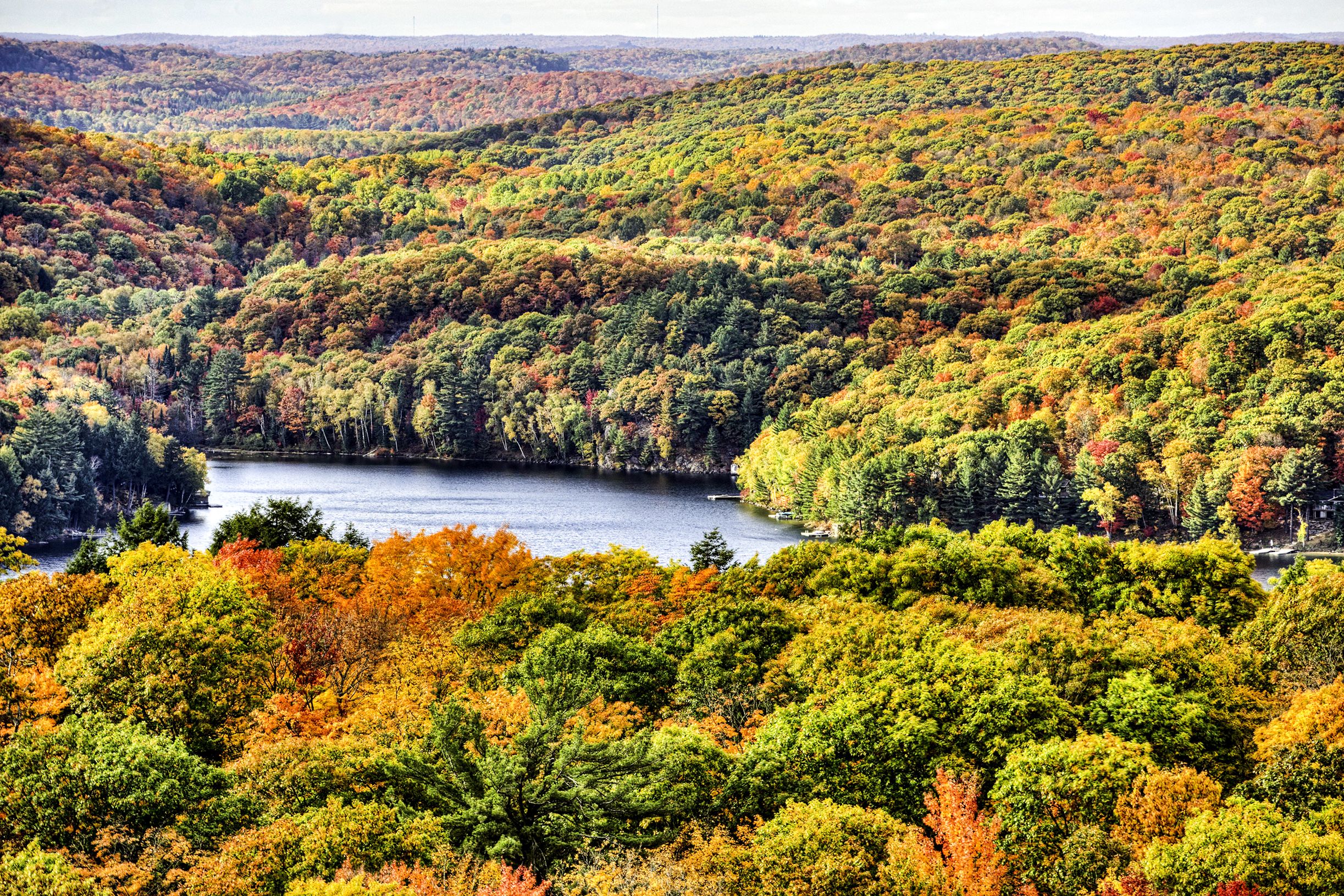 Luftansicht des Algonquin Provincial Parks in Ontario, Kanada