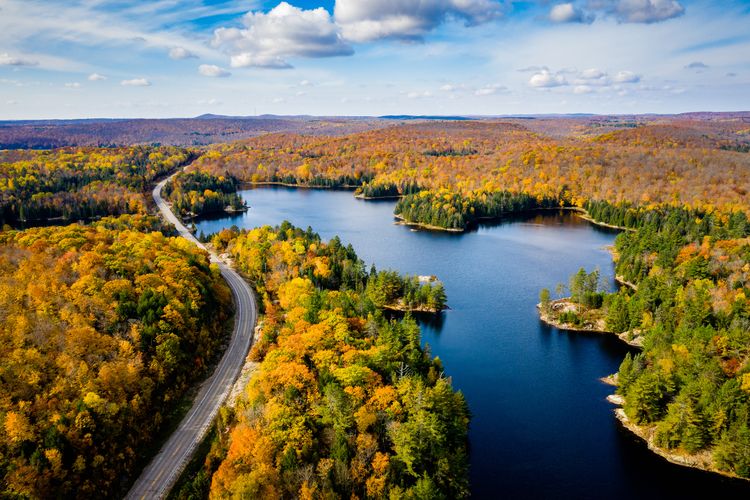 Ein Highway windet sich durch den herbstlichen Wald in Ontario