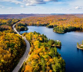 Ein Highway windet sich durch den herbstlichen Wald in Ontario