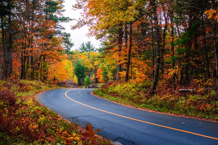 Eine gewundene Straße führt durch einen herbstlichen Wald in Ontario