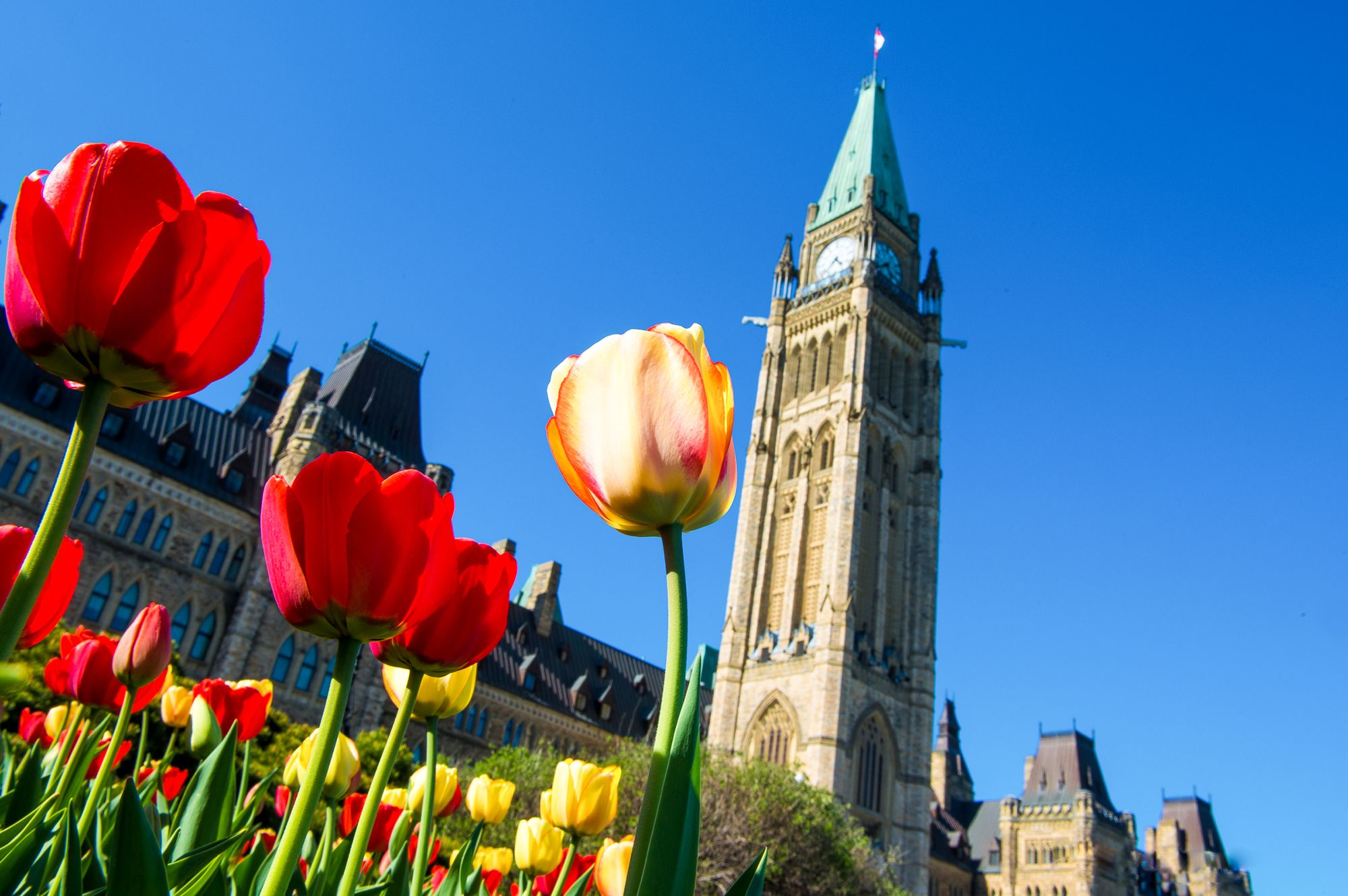 Das Kanadische Parlament in Ottawa, Ontario