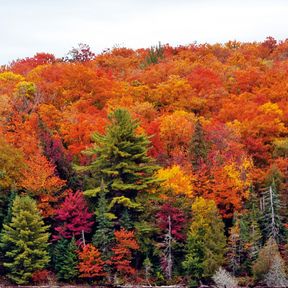 Kanu im Killarney Provincial Park