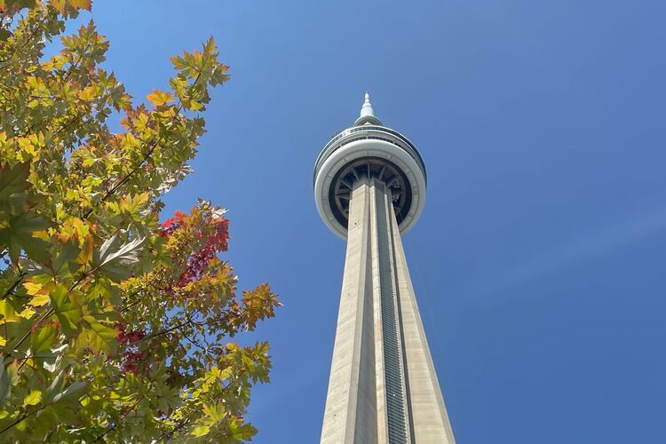 CN Tower bei herbstlicher Sonne