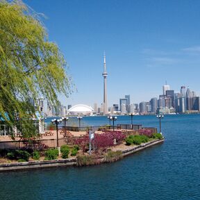 Toronto Skyline