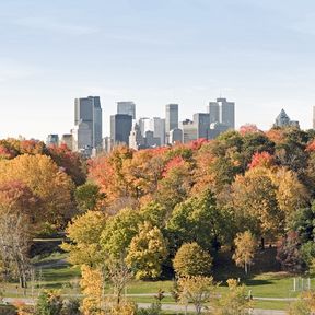 Stadtblick Ã¼ber Park auf Montreal