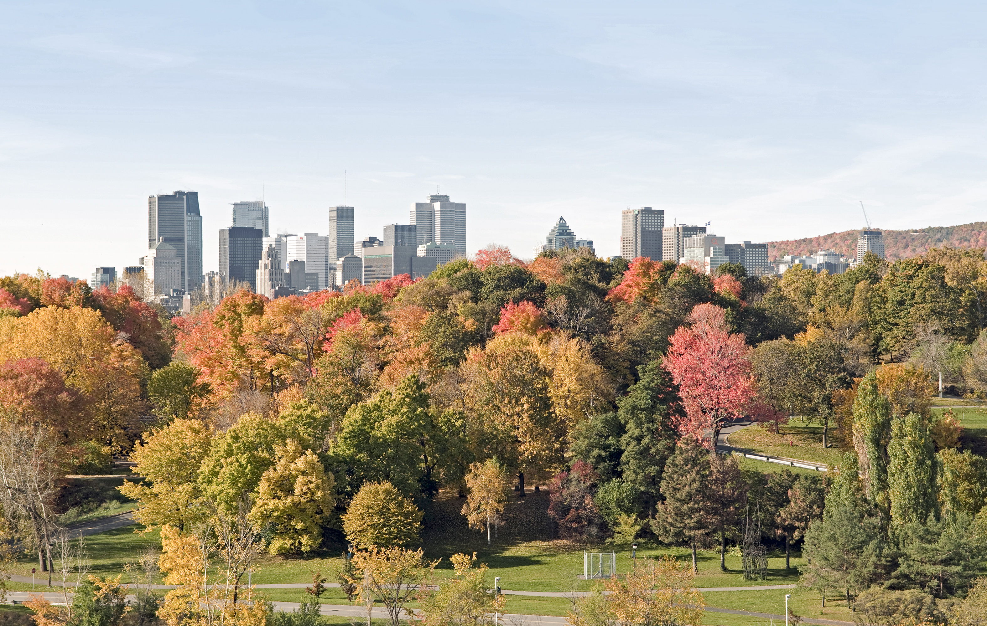 Stadtblick Ã¼ber Park auf Montreal