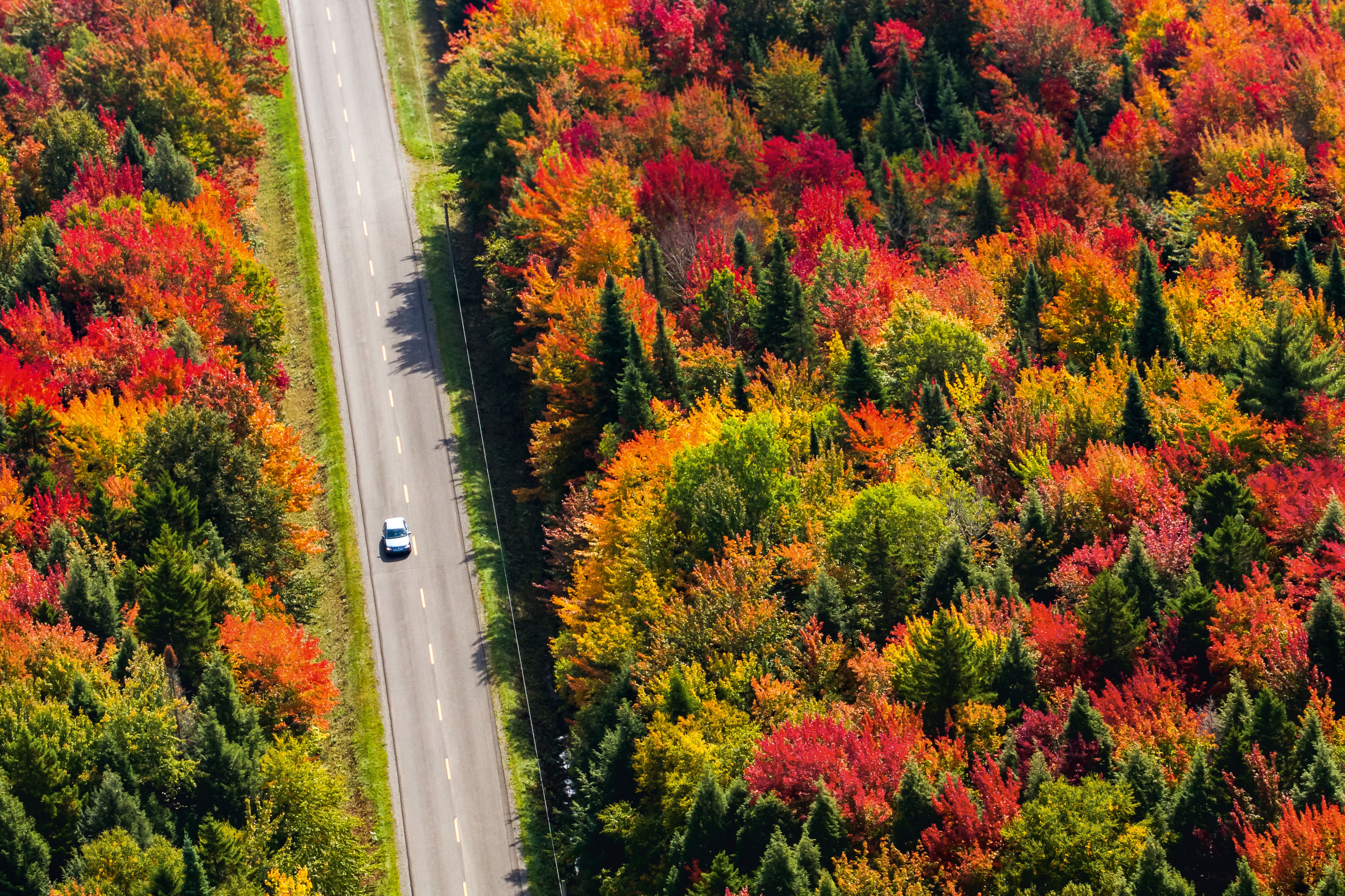 Indian Summer in Quebec