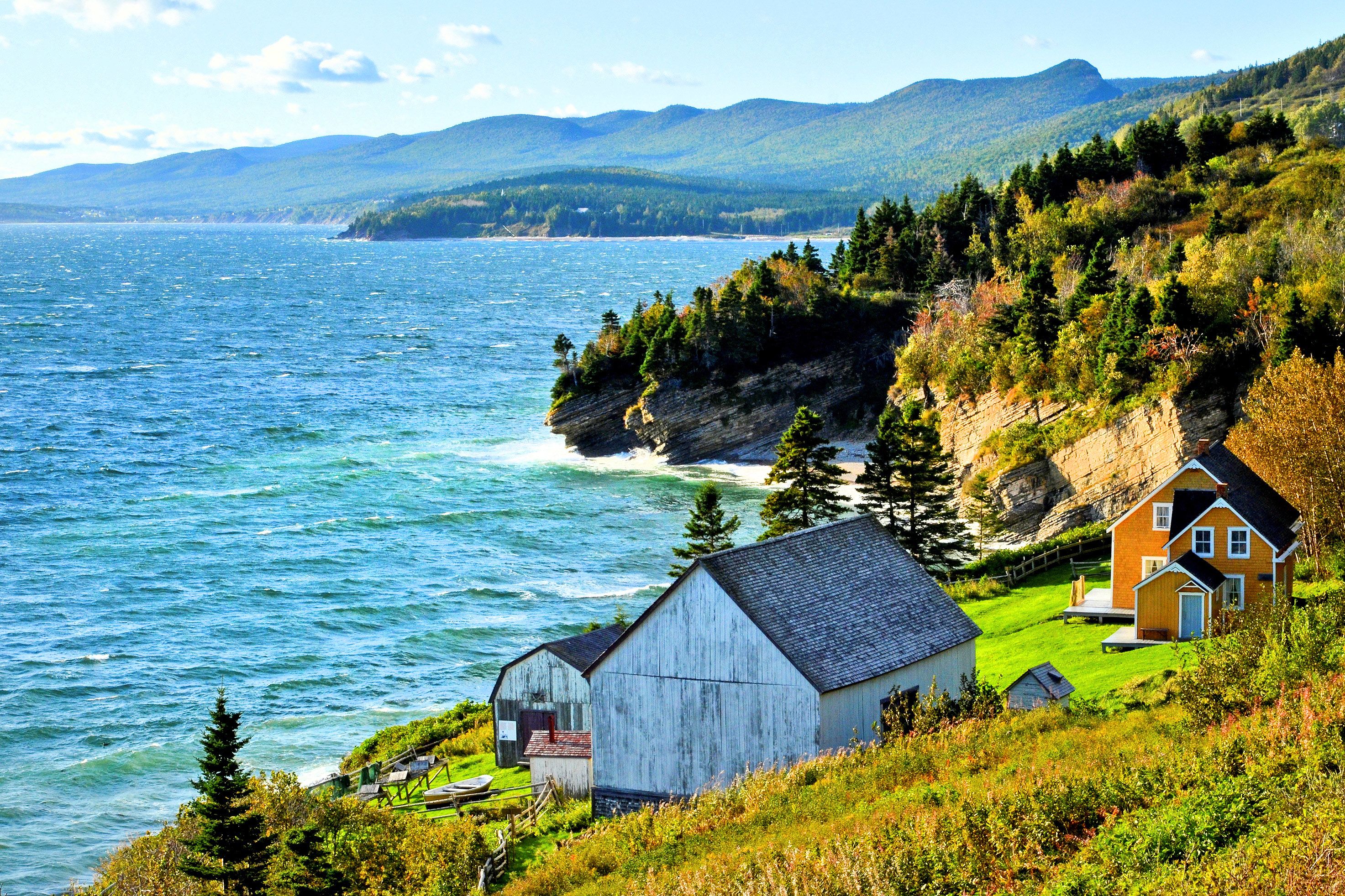 Walbeobachtungstour im Forillon National Park CANUSA