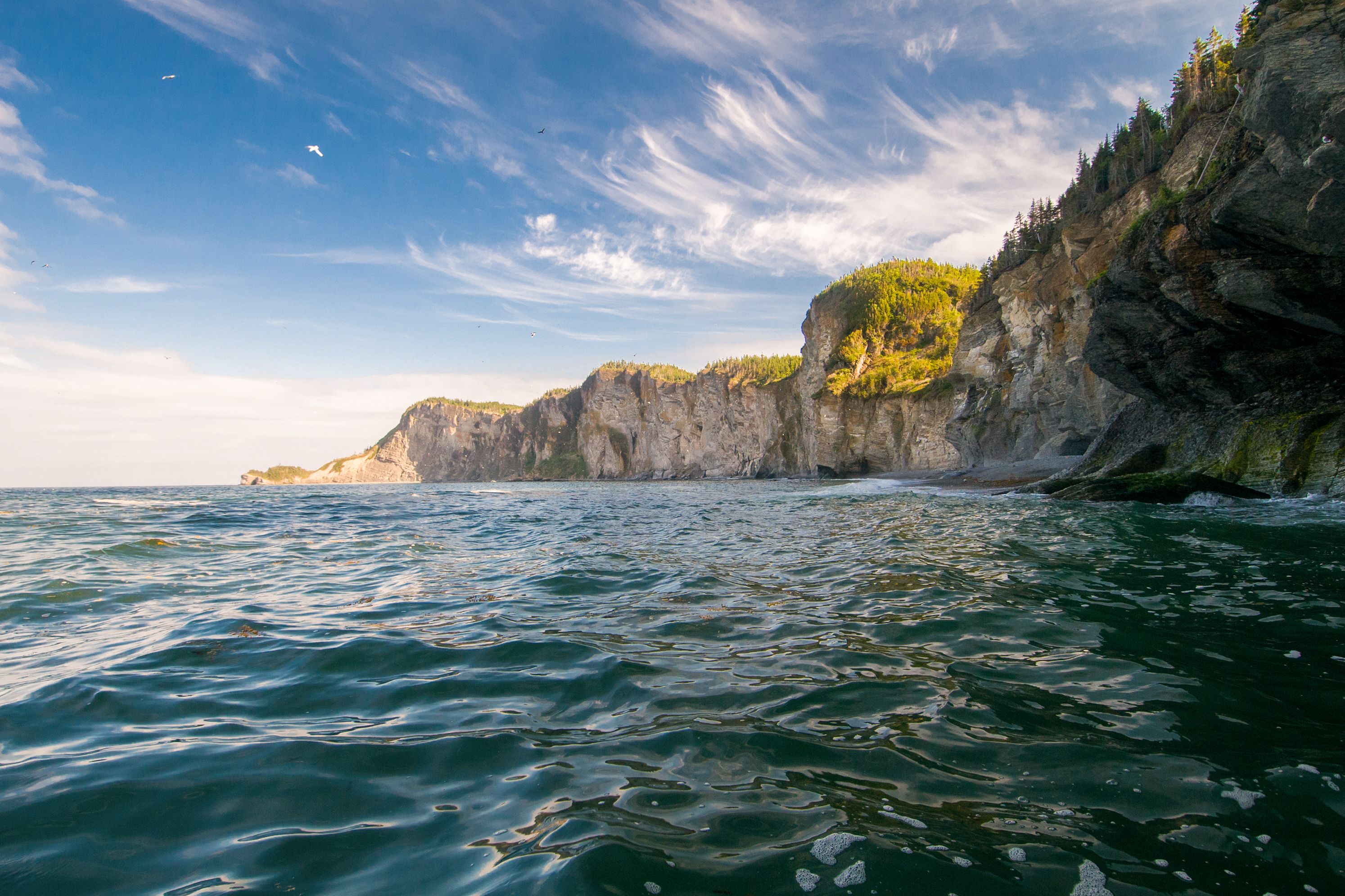 Den Forillon National Park in Québec vom Wasser aus erkunden