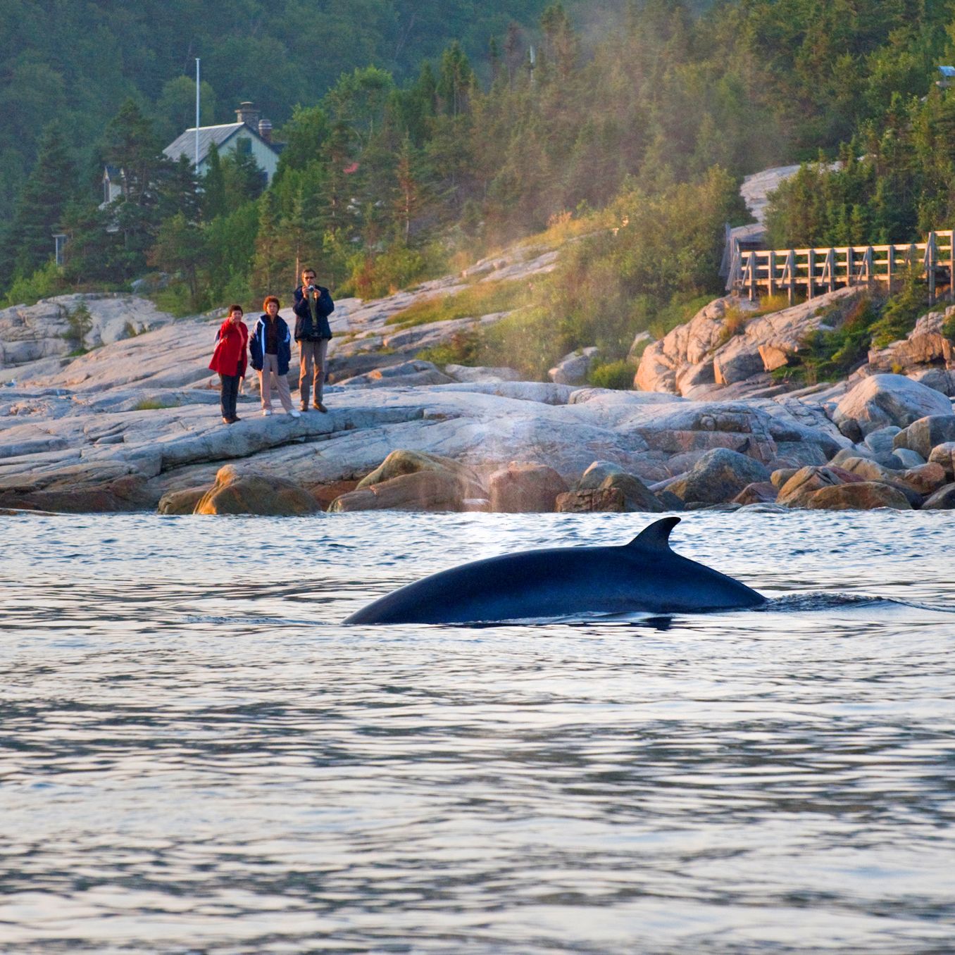 Manicouagan