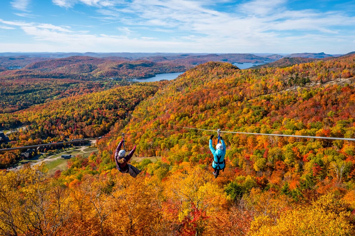 Zipline-Fahrt über farbenfrohe Wälder