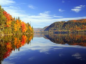 Spiegelungen des herbstlichen Waldes im See