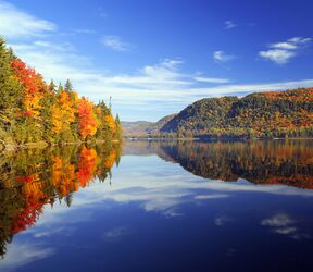 Spiegelungen des herbstlichen Waldes im See