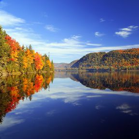 Spiegelungen des herbstlichen Waldes im See