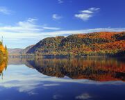 regionen/kanada/quebec/mont-tremblant/shutterstock-433868863-herbstlicher-wald.cr3000x1315-0x270 regionen/kanada/quebec/mont-tremblant/shutterstock-433868863-herbstlicher-wald.cr3000x1315-0x270