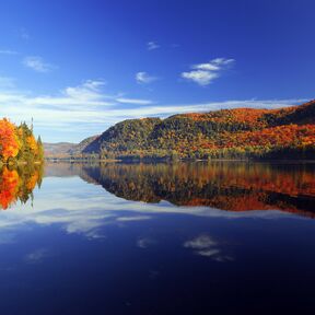 Spiegelungen des herbstlichen Waldes im See