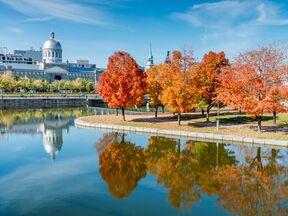 Herbstliche Bäume vor dem Bonsecours-Markt in Montreal