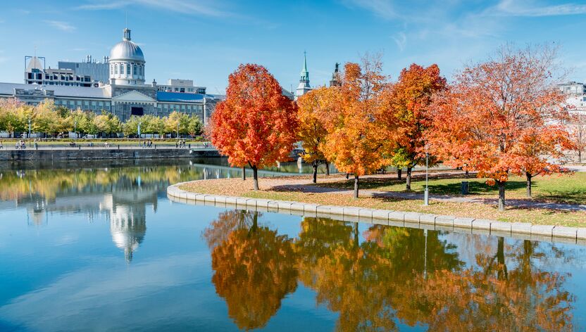 Herbstliche Bäume vor dem Bonsecours-Markt in Montreal