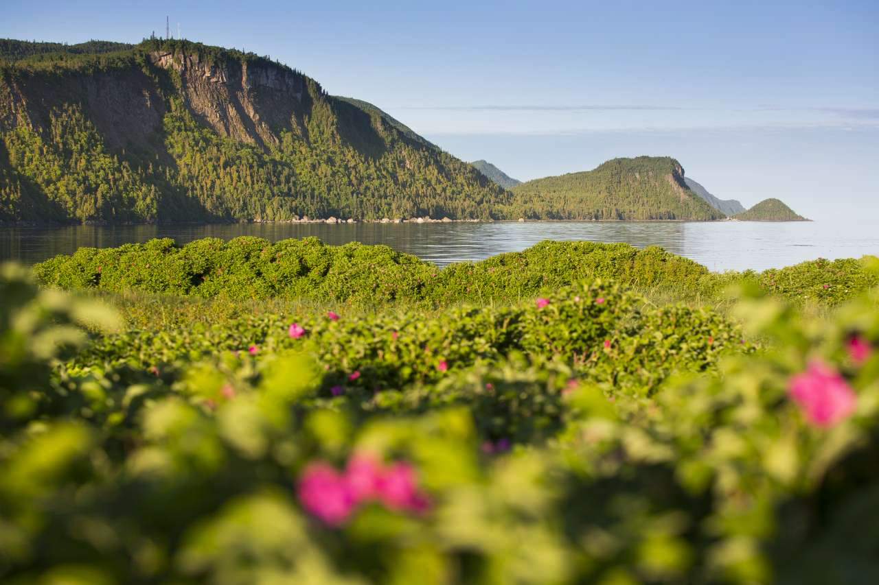 Parc national du Bic, Quebec