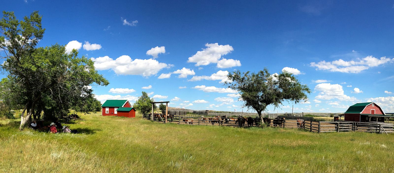 Panorama einer Ranch, Saskatchewan