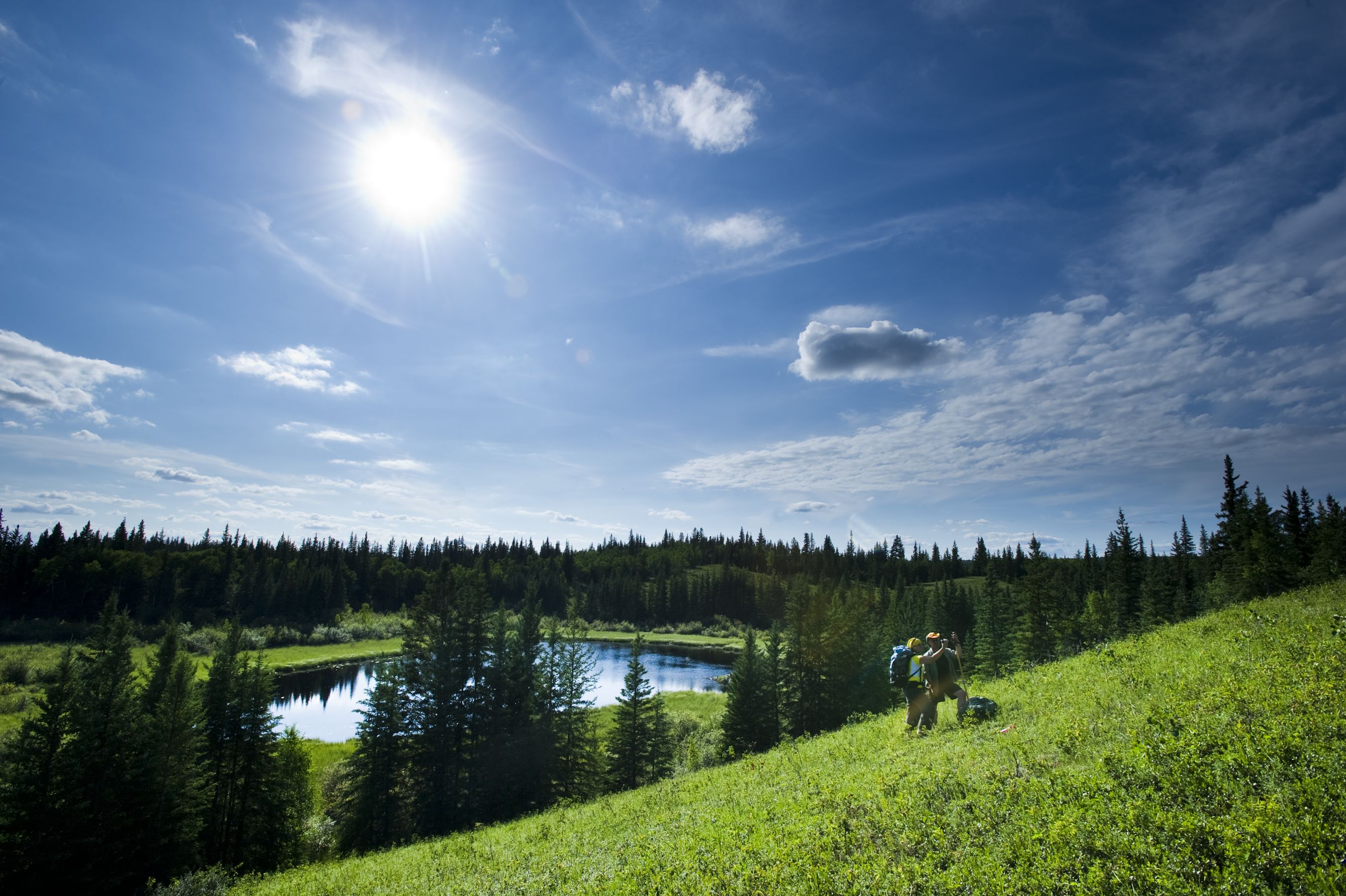 Boreal Trail Meadow Lake