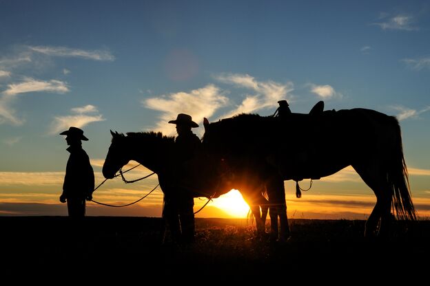 Cowboys der Historic Reesor Ranch in Maple Creek mit ihren Pferden während des Sonnenuntergangs Cowboys der Historic Reesor Ranch in Maple Creek mit ihren Pferden während des Sonnenuntergangs