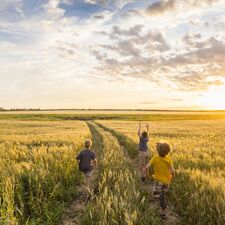 regionen/kanada/saskatchewan/allgemein/kids-in-fields-of-wheat.cr2192x2191-539x0 regionen/kanada/saskatchewan/allgemein/kids-in-fields-of-wheat.cr2192x2191-539x0