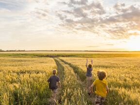 Kinder im Weizenfeld, Saskatchewan