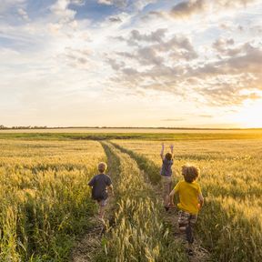 Kinder im Weizenfeld, Saskatchewan