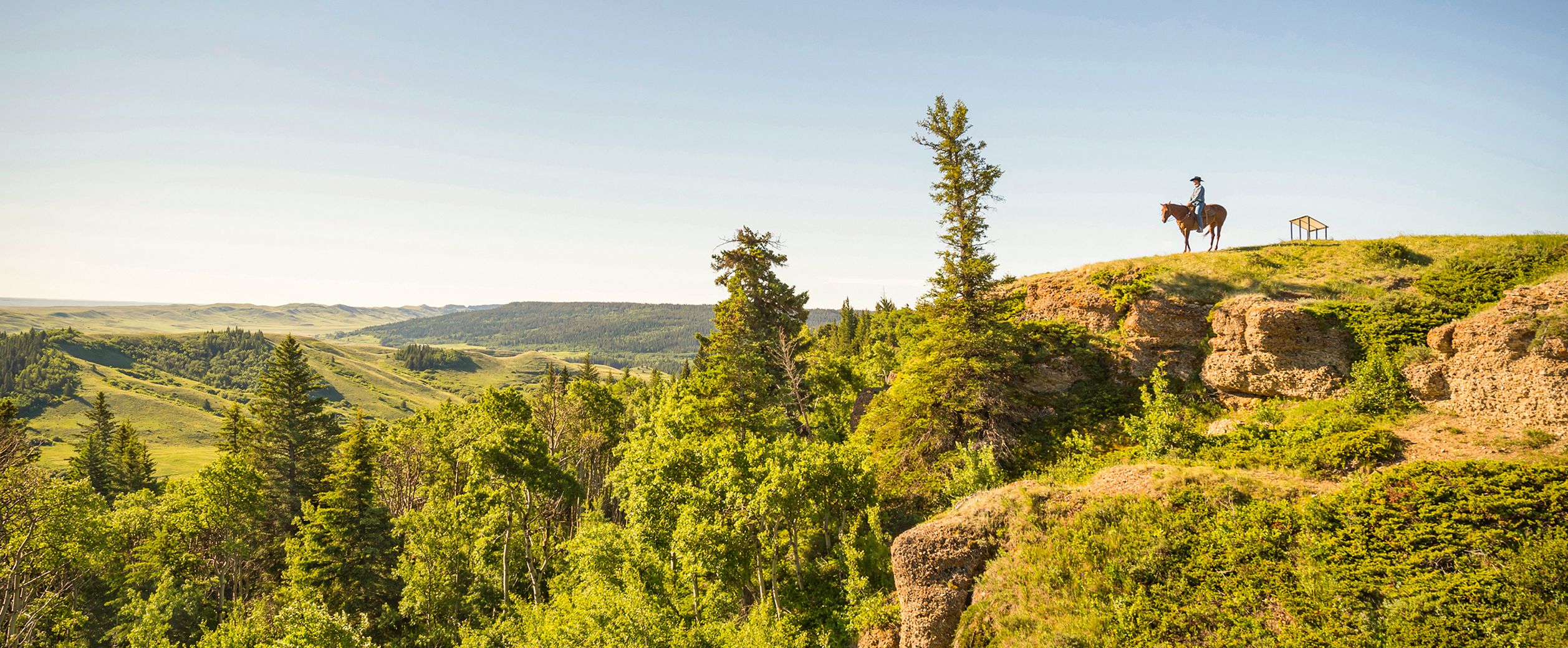 Ein Reiter durchquert den beeindruckenden Cypress Hills Provincial Park