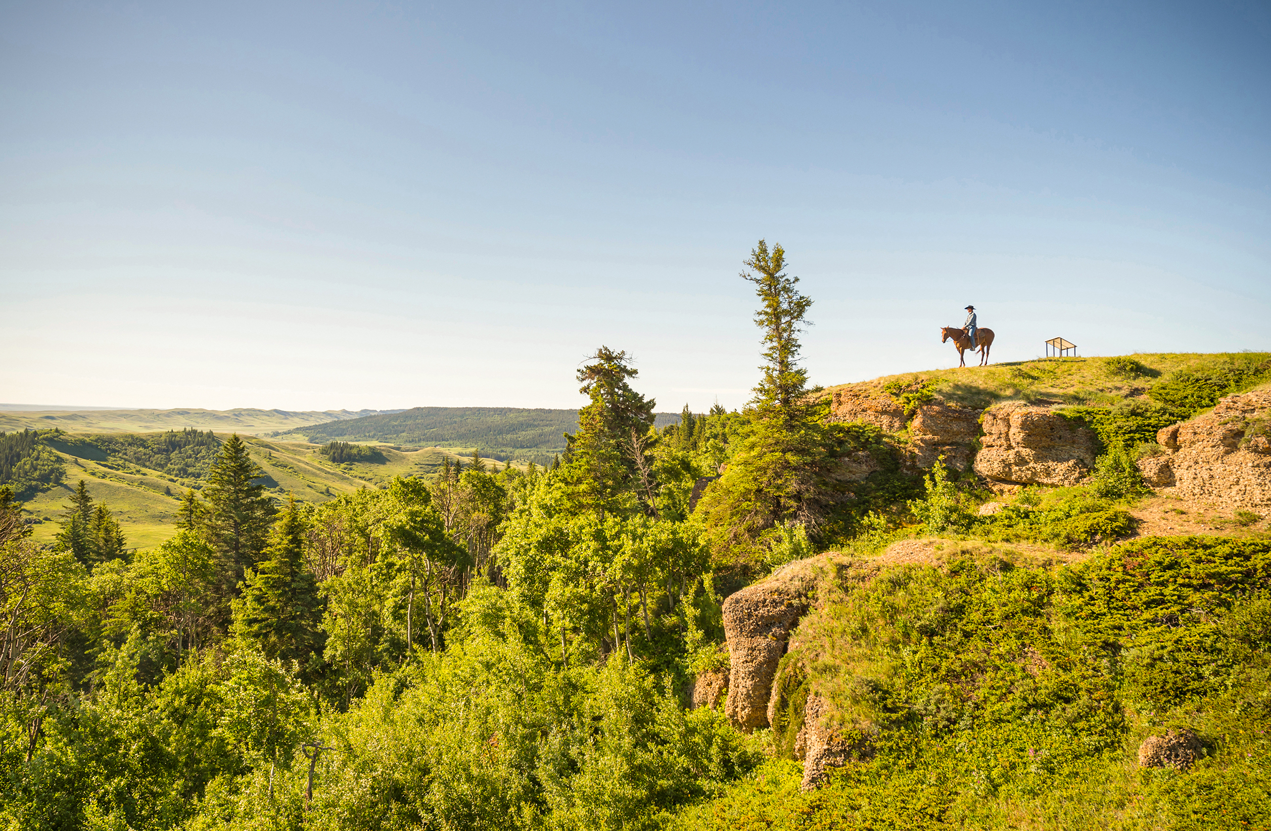 Ein Reiter durchquert den beeindruckenden Cypress Hills Provincial Park