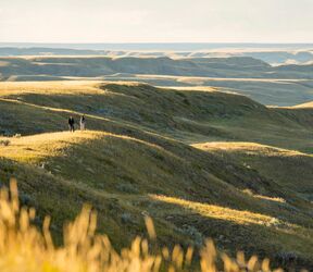 Spaziergang in der Abendsonne im Grasslands-Nationalpark in Saskatchewan