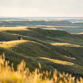 Spaziergang in der Abendsonne im Grasslands-Nationalpark in Saskatchewan