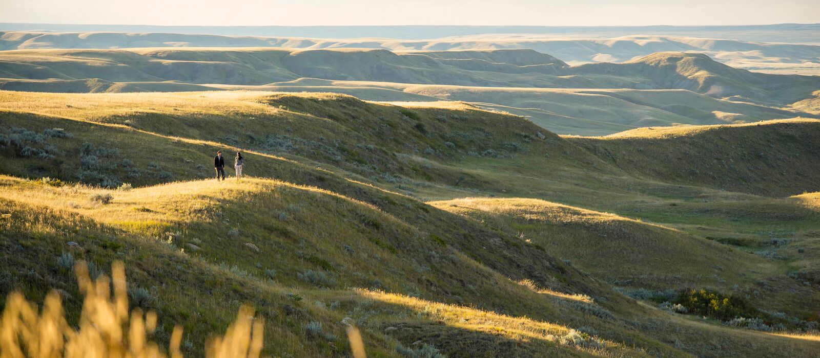 Spaziergang in der Abendsonne im Grasslands-Nationalpark in Saskatchewan