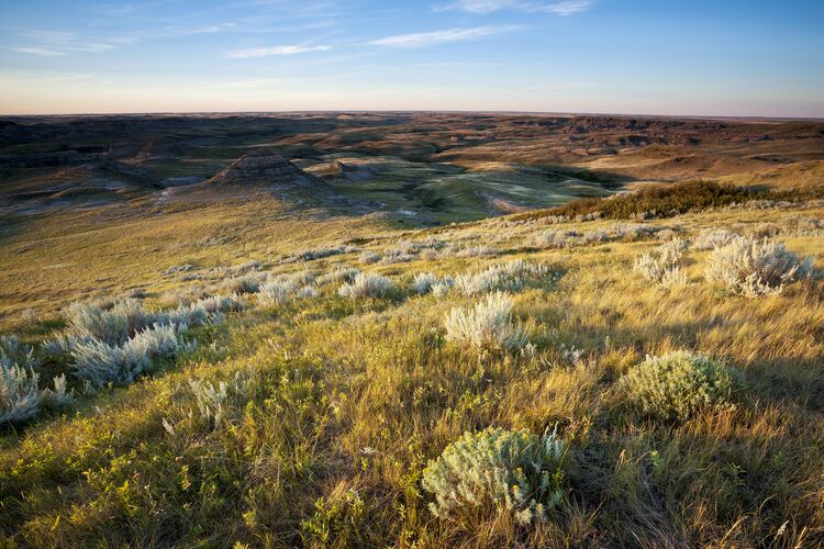Naturwiese Grasslands National Park in Saskatchewan