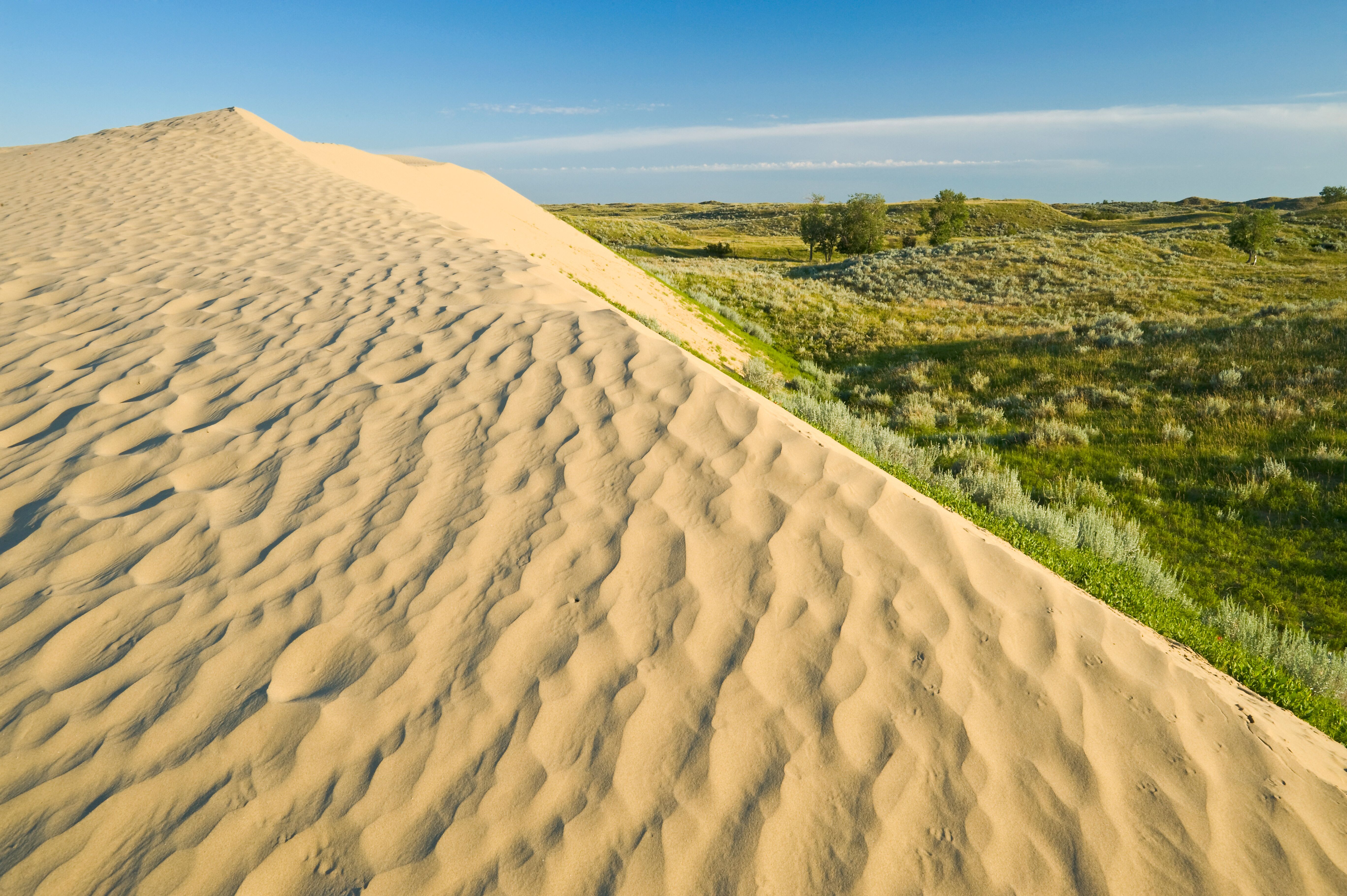 Blick über die Great Sand Hills