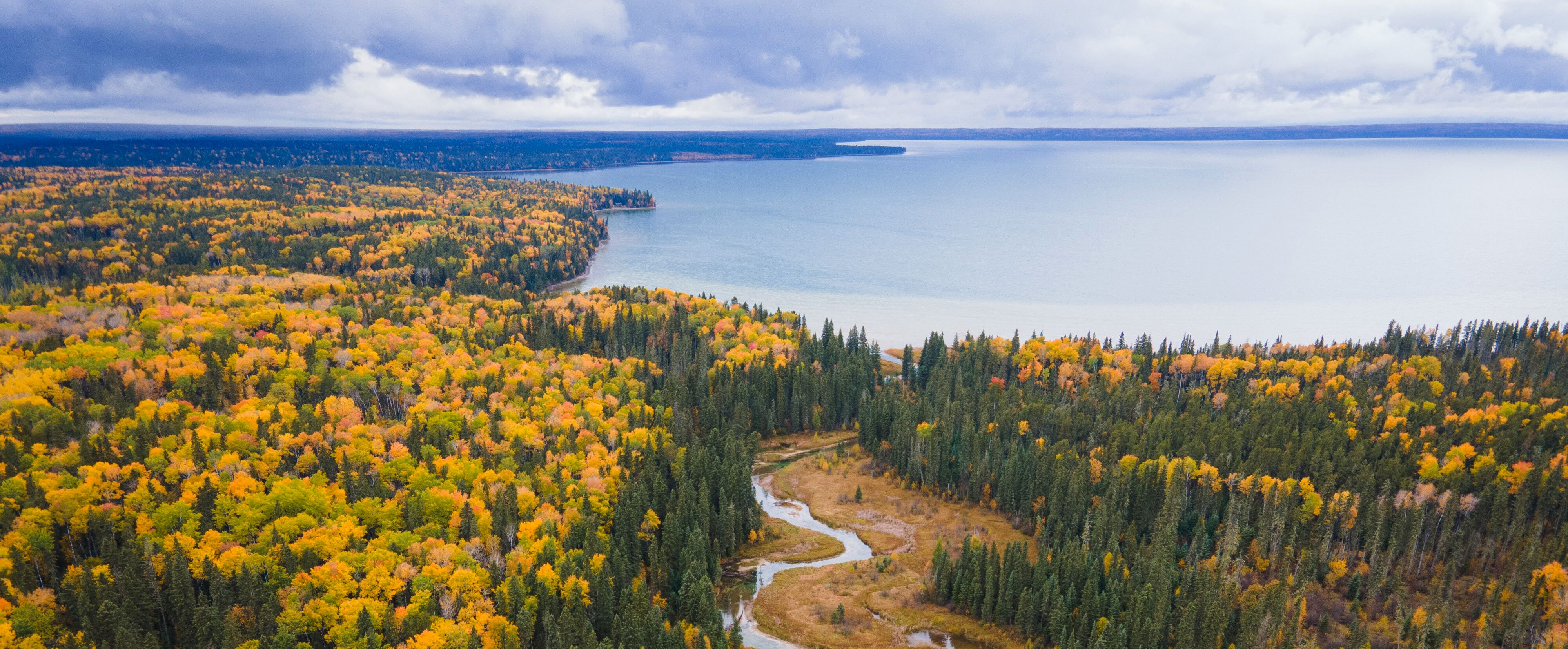 Herbstliche Landschaft im Prinz-Albert-Nationalpark