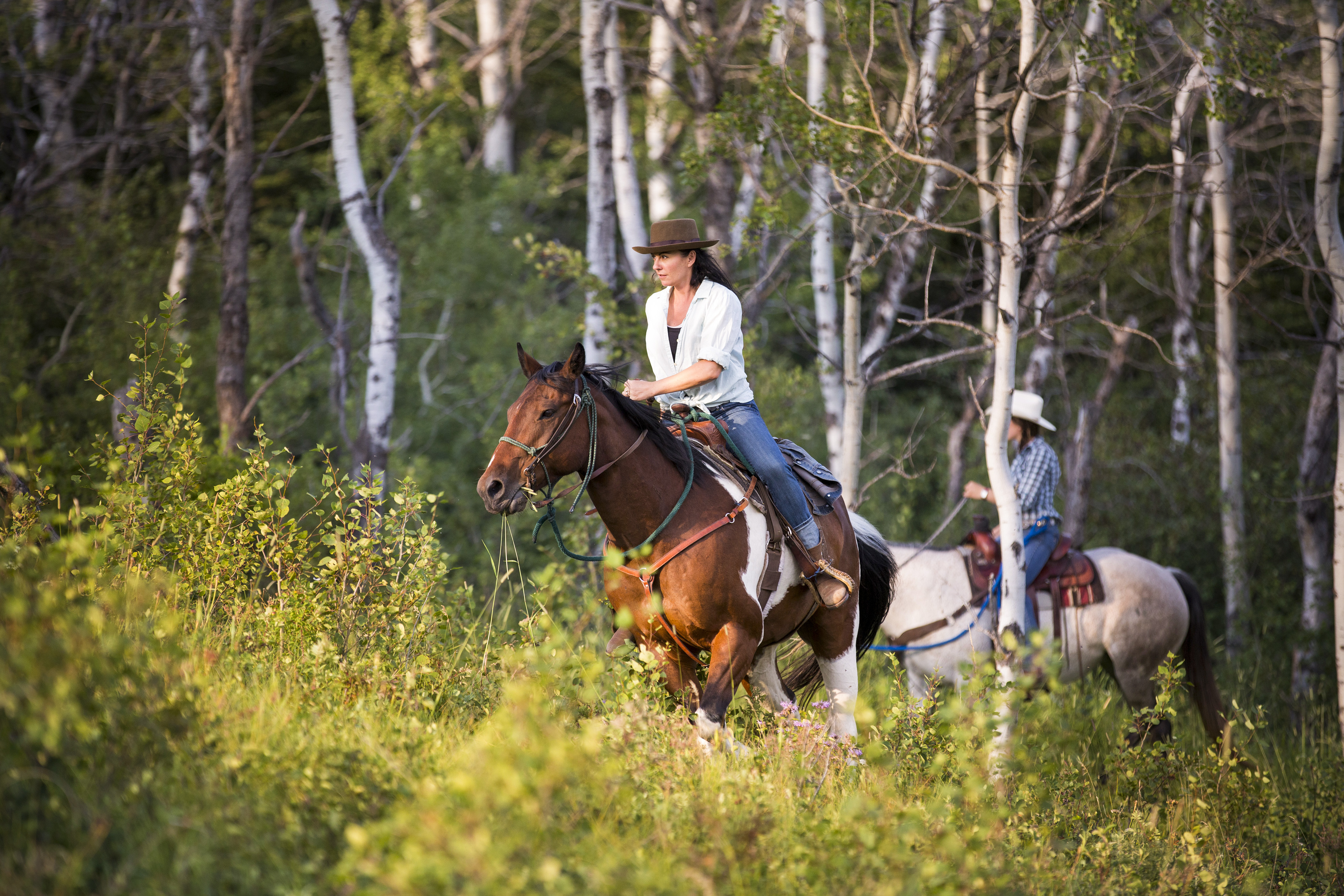 Ausritt im Wald auf der Historic Reesor Ranch bei Maple Creek in Cypress Hills, Saskatchewan