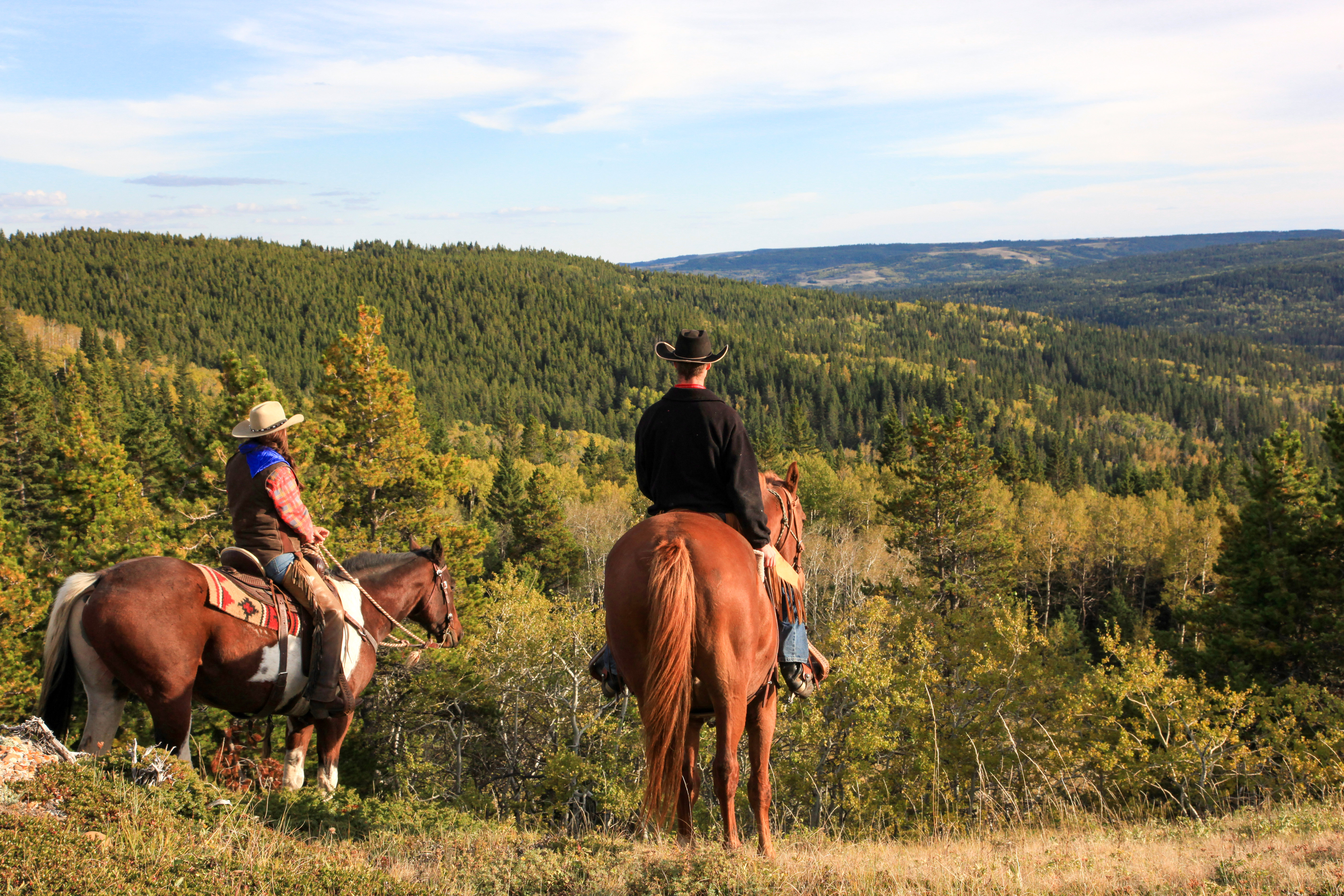 Wunderbare Ausritte auf der Historic Reesor Ranch in Cypress Hills, Saskatchewan