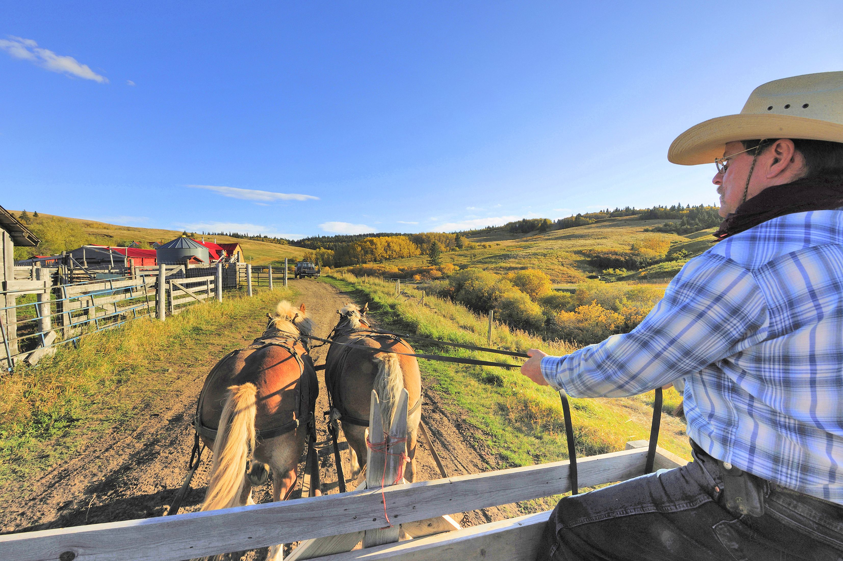 Kutschfahrt auf der Reesor Ranch in Maple Creek, Saskatchewan