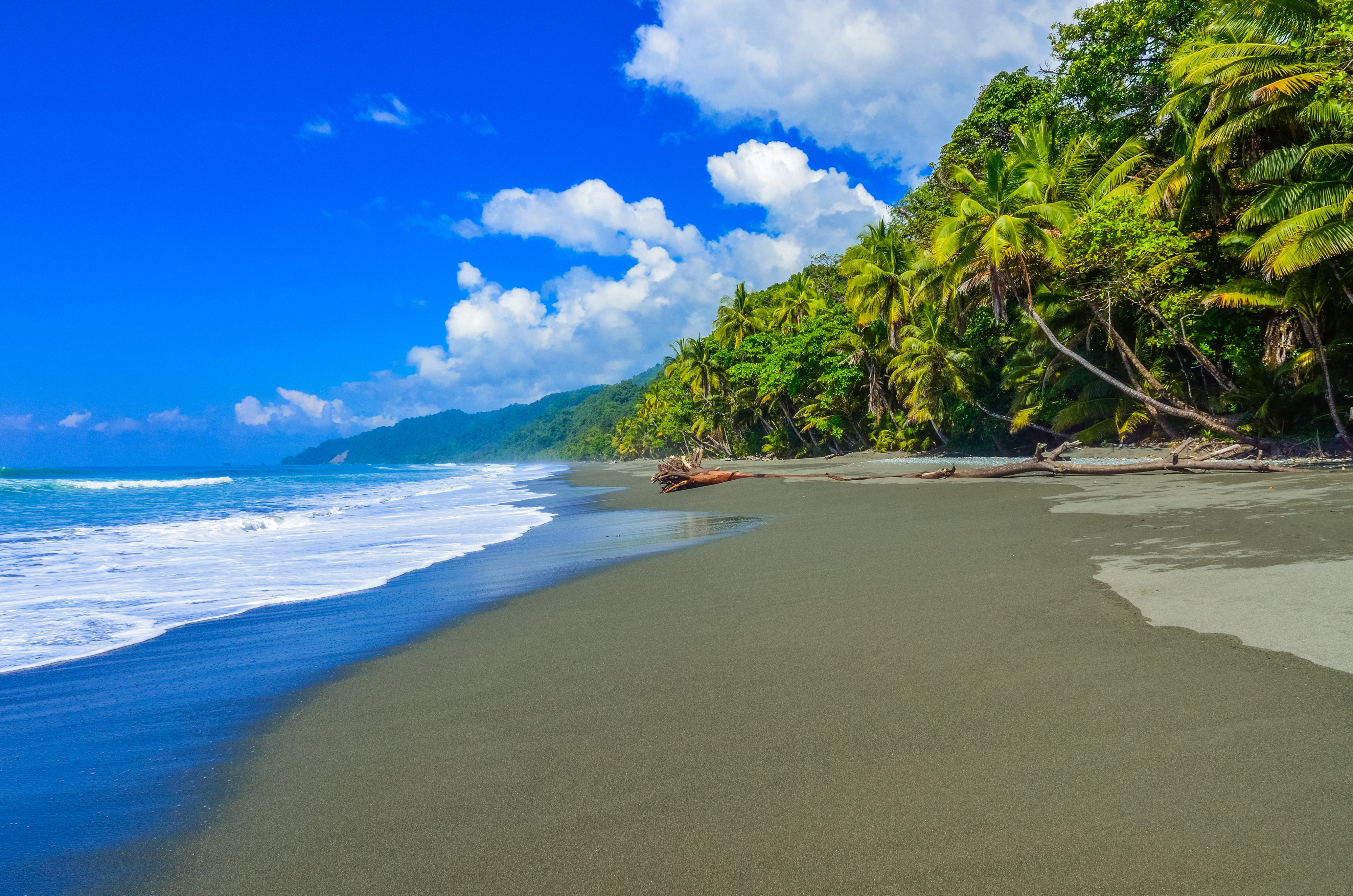 Wild Beach am Corcovado Regenwald, Costa Rica