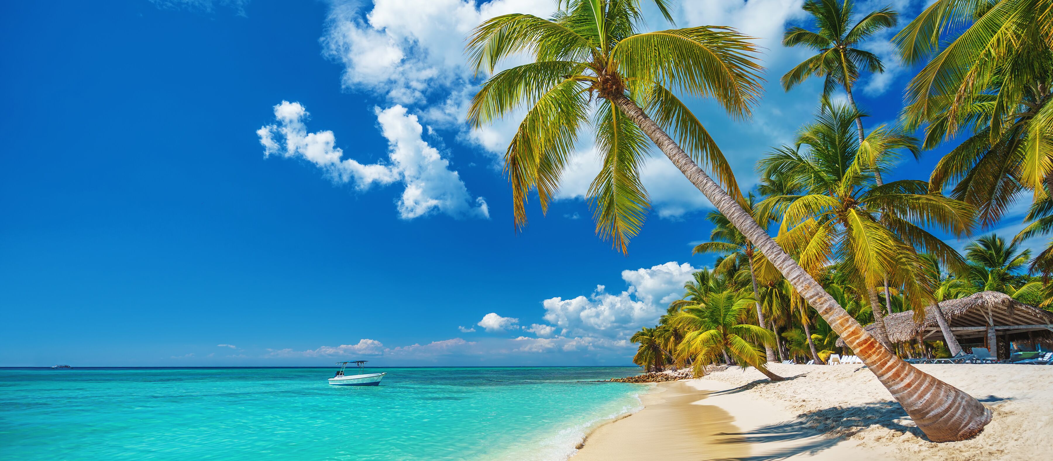 Tropischer Strand in Punta Cana in der Dominikanischen Republik