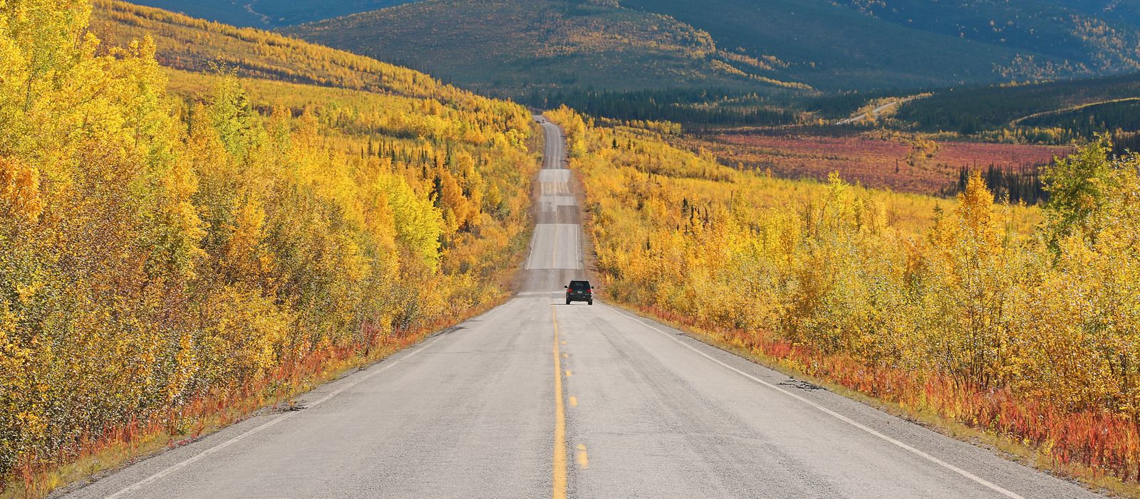 Ein Highway in Alaska in herbstlichen Farben