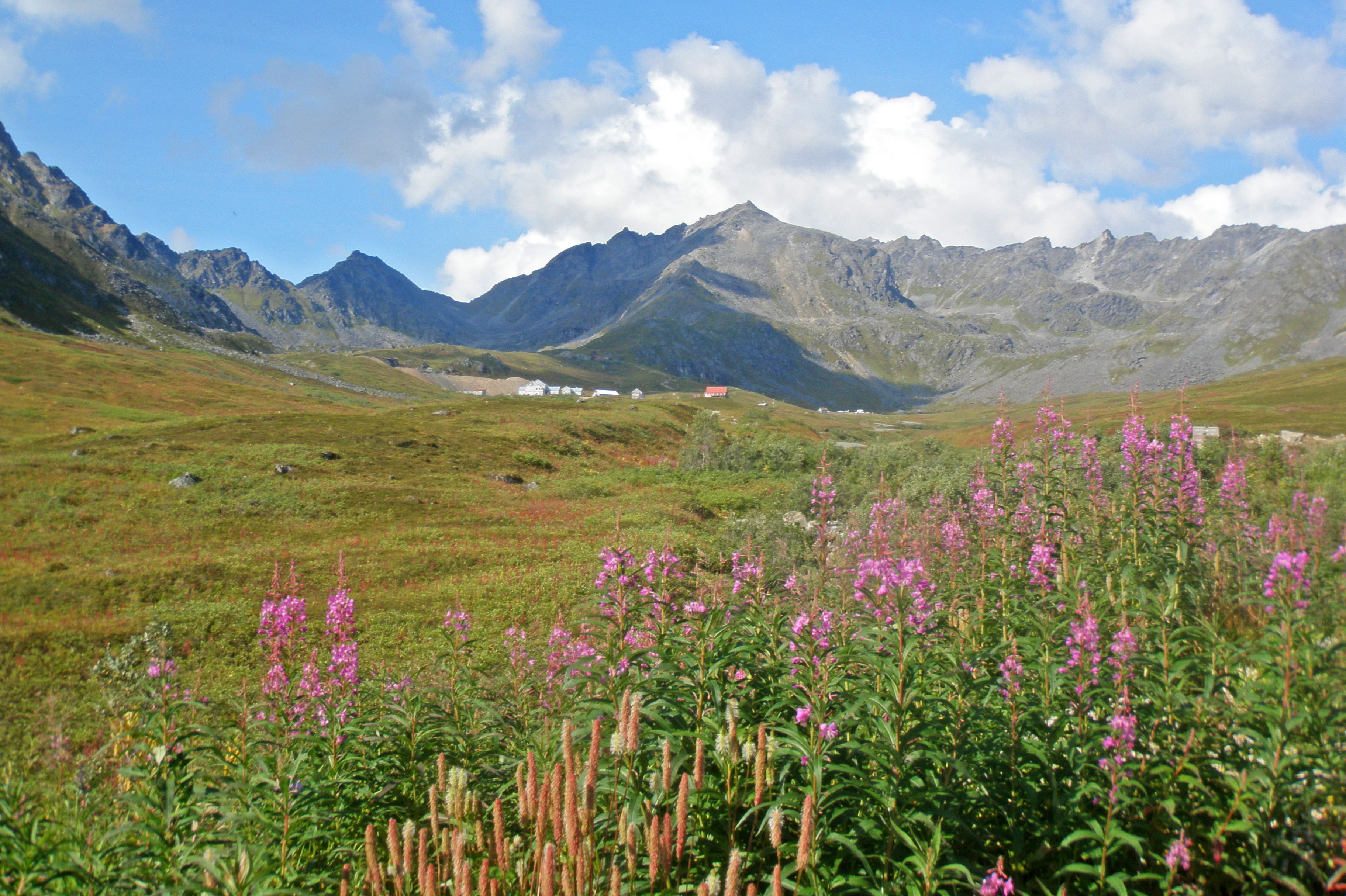 Landschaft am Knik River